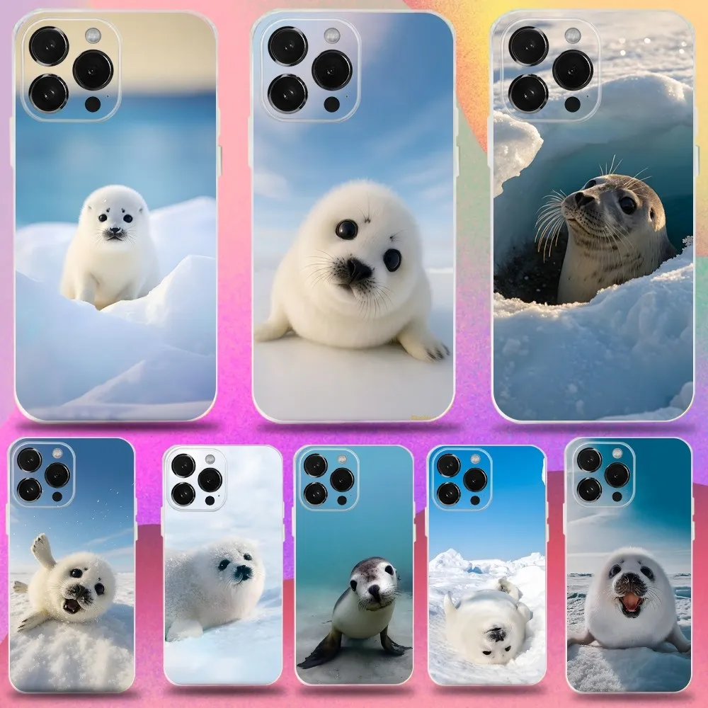 Seal Animal Cute Phone Case For iPhone 16,15,14,13,12,11 Pro,Max,Plus,X,XS,XR,SE,Mini Transparent Silicone Soft
Seal Animal Cute Phone Case For iPhone 16,15,14,13,12,11 Pro,Max,Plus,X,XS,XR,SE,Mini Transparent Silicone Soft