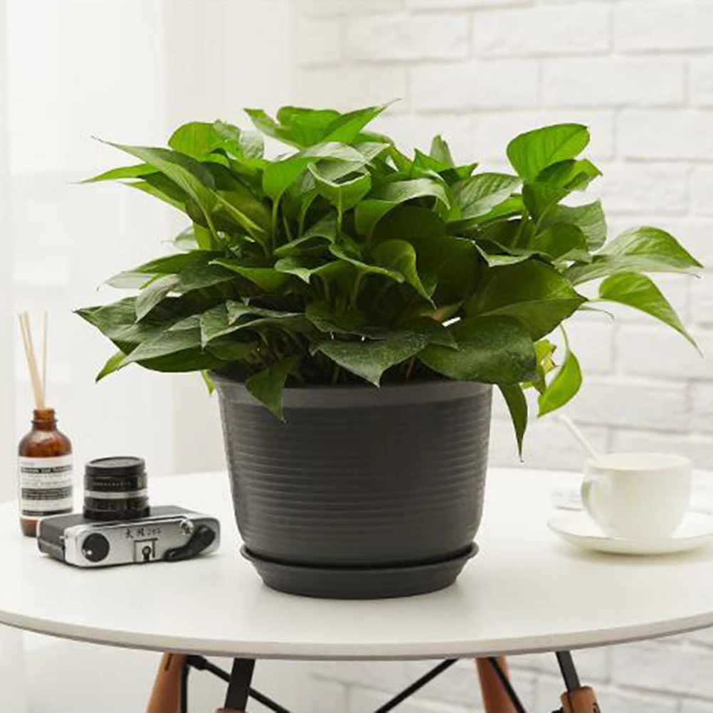 1pc Plastic Flower Pot Round Simple Decorative Flower Basket With Tray For Cosmetics Holder Desk Dustbin Gray Black 
1pc Plastic Flower Pot Round Simple Decorative Flower Basket With Tray For Cosmetics Holder Desk Dustbin Gray Black