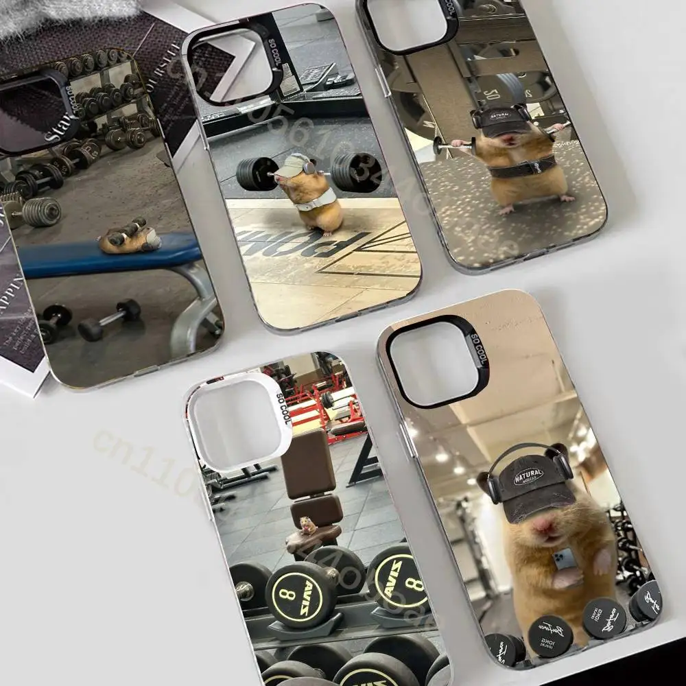 Cute Gym Hamster Phone Case For iPhone 17,16,15,14,13,12,11,Pro,Max,Plus Shockproof Cover
Cute Gym Hamster Phone Case For iPhone 17,16,15,14,13,12,11,Pro,Max,Plus Shockproof Cover
