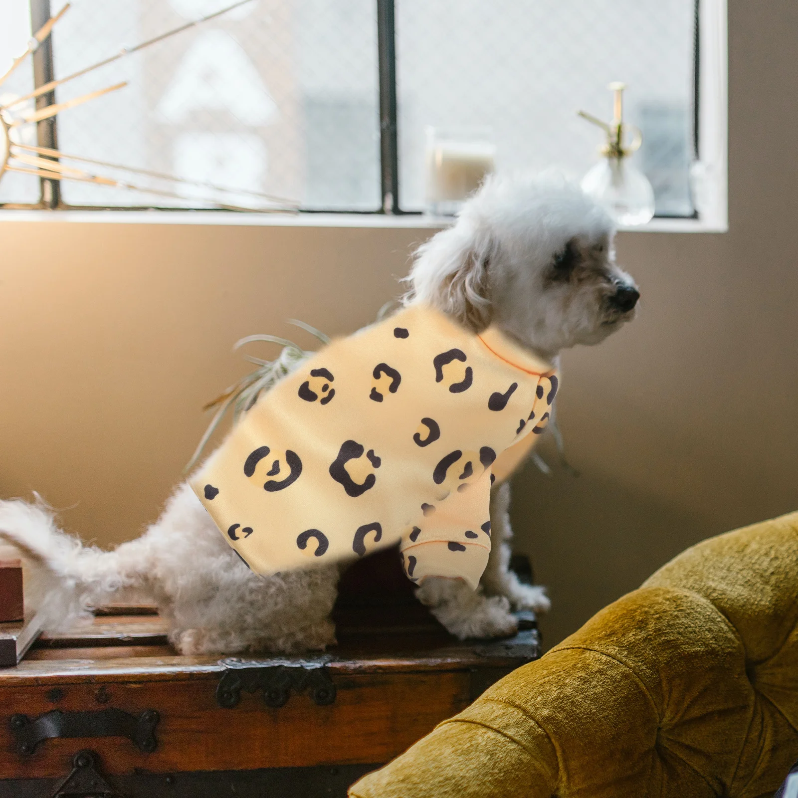 Winter Dog Clothes Printed Xl Warm Puppy Coat Soft Comfortable Pet Apparel Breathable Outdoor Suitable for Training Hiking
Winter Dog Clothes Printed Xl Warm Puppy Coat Soft Comfortable Pet Apparel Breathable Outdoor Suitable for Training Hiking