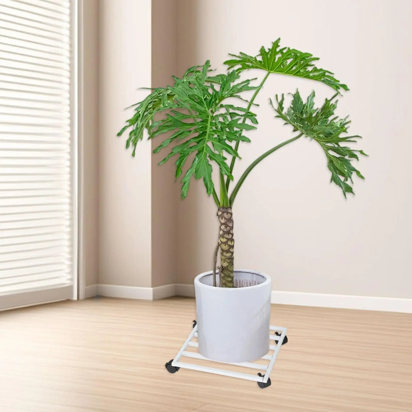 Flower Pot Stand with Wheel Rolling Plant Stand Flowerpot Moveable Iron Rack Planter Holder Base for Indoor Outdoor Backyard
Flower Pot Stand with Wheel Rolling Plant Stand Flowerpot Moveable Iron Rack Planter Holder Base for Indoor Outdoor Backyard
