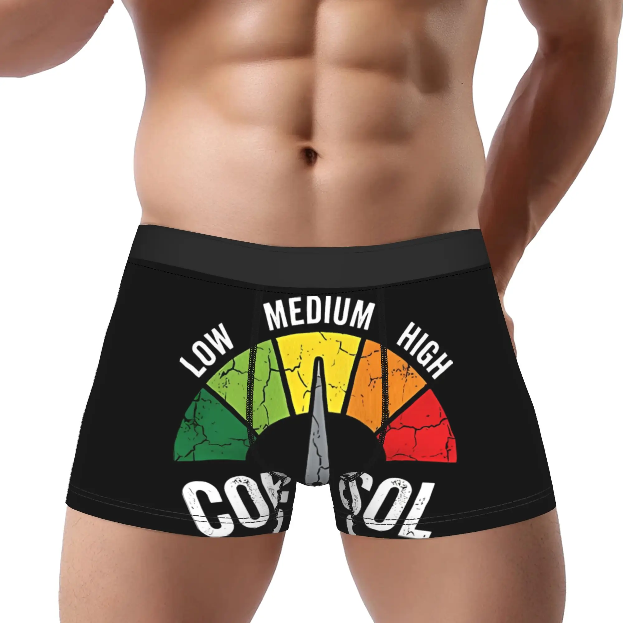Low Medium High Stress Hormone Cortisol Spike Underpants Breathbale Panties Men's Underwear Comfortable Shorts Boxer Briefs
Low Medium High Stress Hormone Cortisol Spike Underpants Breathbale Panties Men's Underwear Comfortable Shorts Boxer Briefs