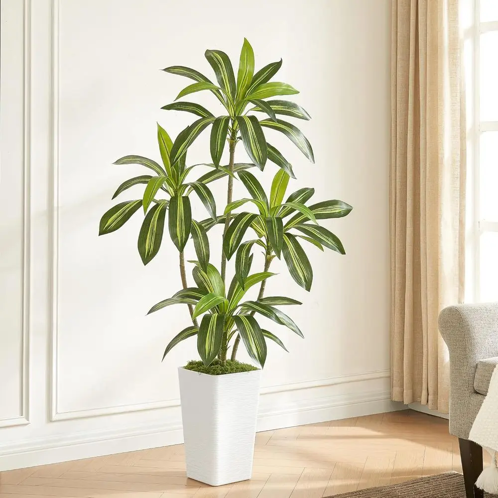5ft Artificial Dracaena Tree with White Planter and Fake Green Moss - Lifelike Plant for Home & Office Decor
5ft Artificial Dracaena Tree with White Planter and Fake Green Moss - Lifelike Plant for Home & Office Decor