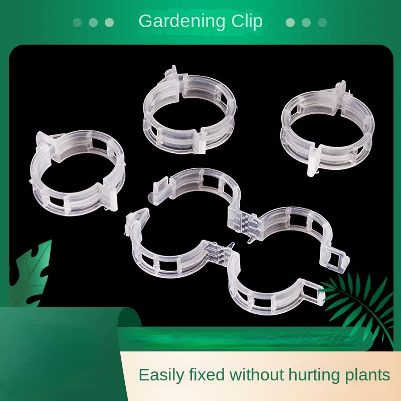 3000pcs Plastic Reusable Plant Support Clips Plant Vine Protection Grafting Fixing Tool for Vegetable Tomato Garden Supplies
3000pcs Plastic Reusable Plant Support Clips Plant Vine Protection Grafting Fixing Tool for Vegetable Tomato Garden Supplies