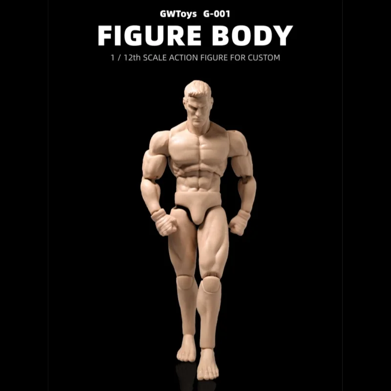In Stock Gwtoys 1/12 Scale Military Figure Base Body Artistic Muscle Anatomy Model G001 Collection Decoration Model Toy Gifts
In Stock Gwtoys 1/12 Scale Military Figure Base Body Artistic Muscle Anatomy Model G001 Collection Decoration Model Toy Gifts