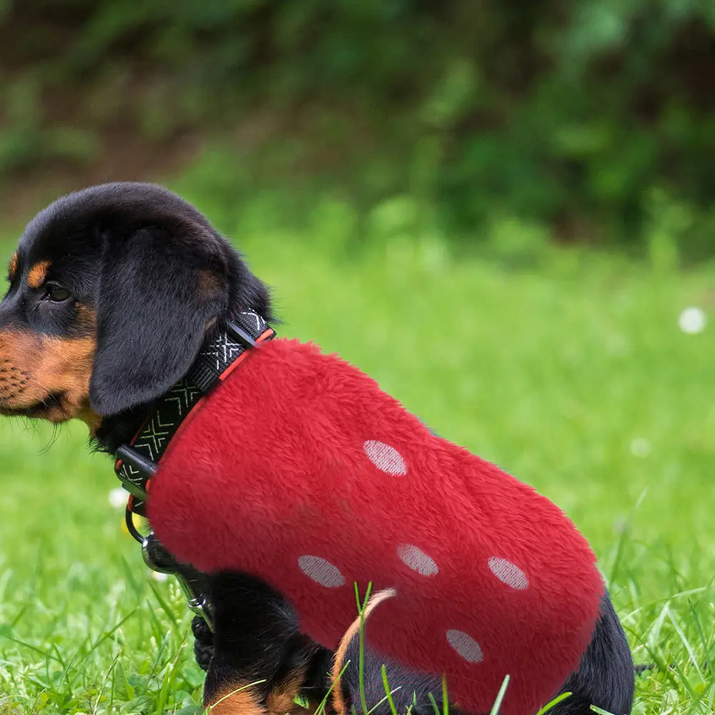 2Pcs Pet Dog Winter Clothes Pattern Warm Breathable Small Dog Costume Puppy Fleece Coat Winter Apparel
2Pcs Pet Dog Winter Clothes Pattern Warm Breathable Small Dog Costume Puppy Fleece Coat Winter Apparel