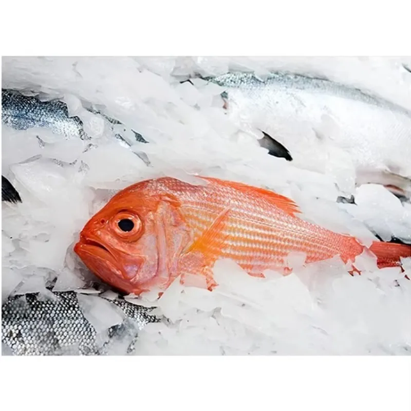 YG Customized Venta Directa De Fabrica 5 10 20 Maquina De Hielo En Escamas De 30 Toneladas Para Pescado Maquina Industrial En Es
YG Customized Venta Directa De Fabrica 5 10 20 Maquina De Hielo En Escamas De 30 Toneladas Para Pescado Maquina Industrial En Es