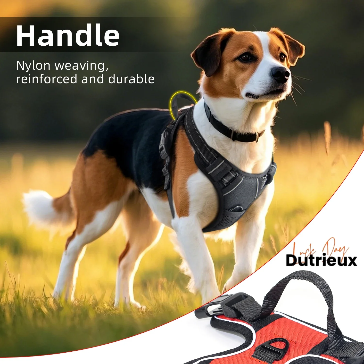 1PC Adjustable Nylon Dog Harness Vest SET Reflective Soft Breathable No Pull Dog Harness Pet Harness Leash For Small Large Dogs
1PC Adjustable Nylon Dog Harness Vest SET Reflective Soft Breathable No Pull Dog Harness Pet Harness Leash For Small Large Dogs