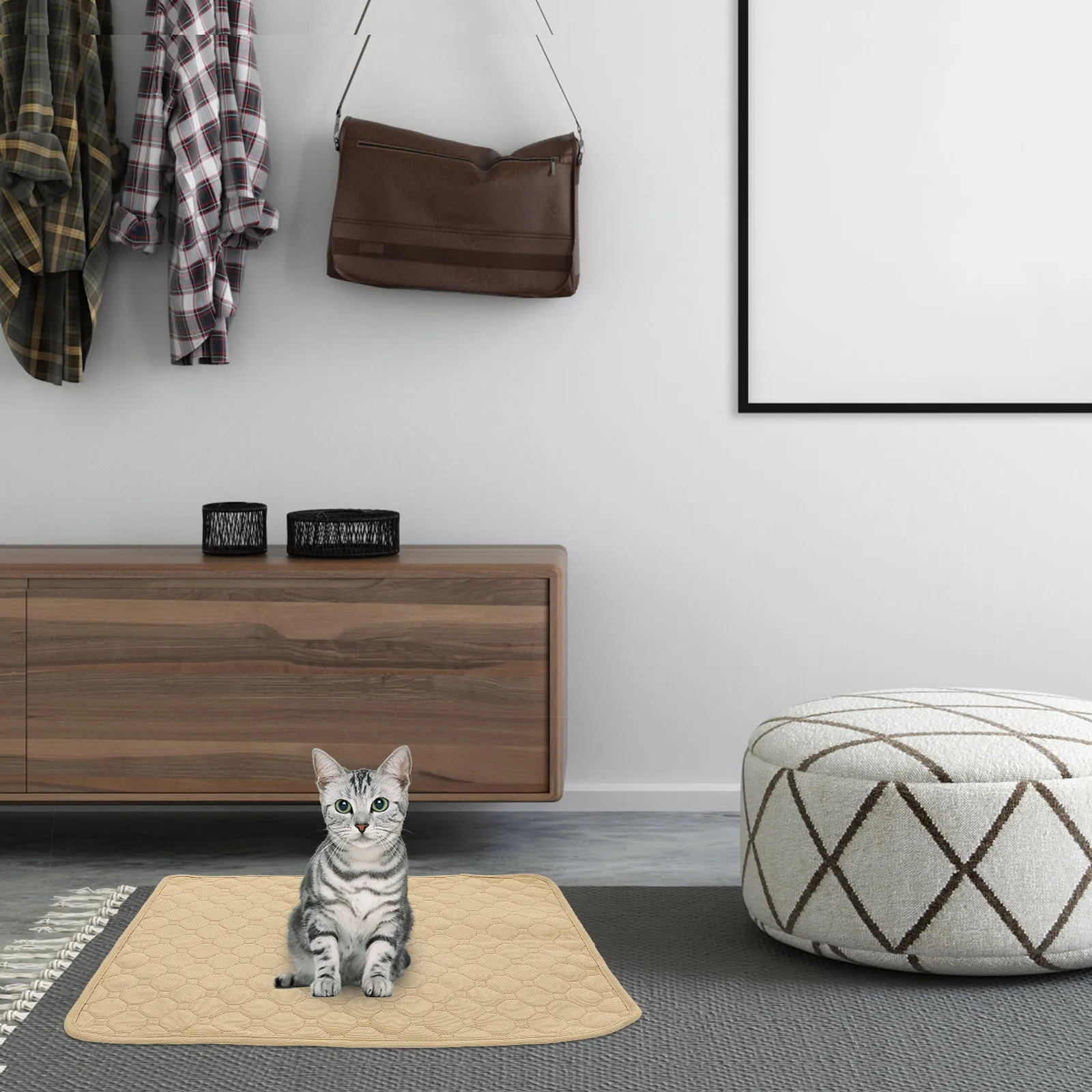 2pcs Pet Pee Pad Puppy Training Mats Absorbent Water Proof Reusable Washable Dog Urine Pads for Home Car Sofa Bed
2pcs Pet Pee Pad Puppy Training Mats Absorbent Water Proof Reusable Washable Dog Urine Pads for Home Car Sofa Bed