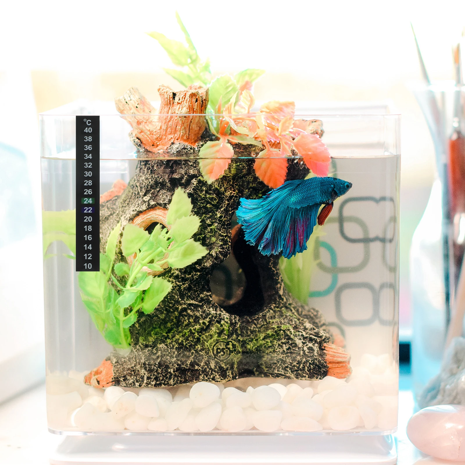 15Pcs Liquid Crystal Thermometer Strip Special Color Changing Aquarium Temperature Measuring Strip Fish Tank Indoor Thermometer
15Pcs Liquid Crystal Thermometer Strip Special Color Changing Aquarium Temperature Measuring Strip Fish Tank Indoor Thermometer