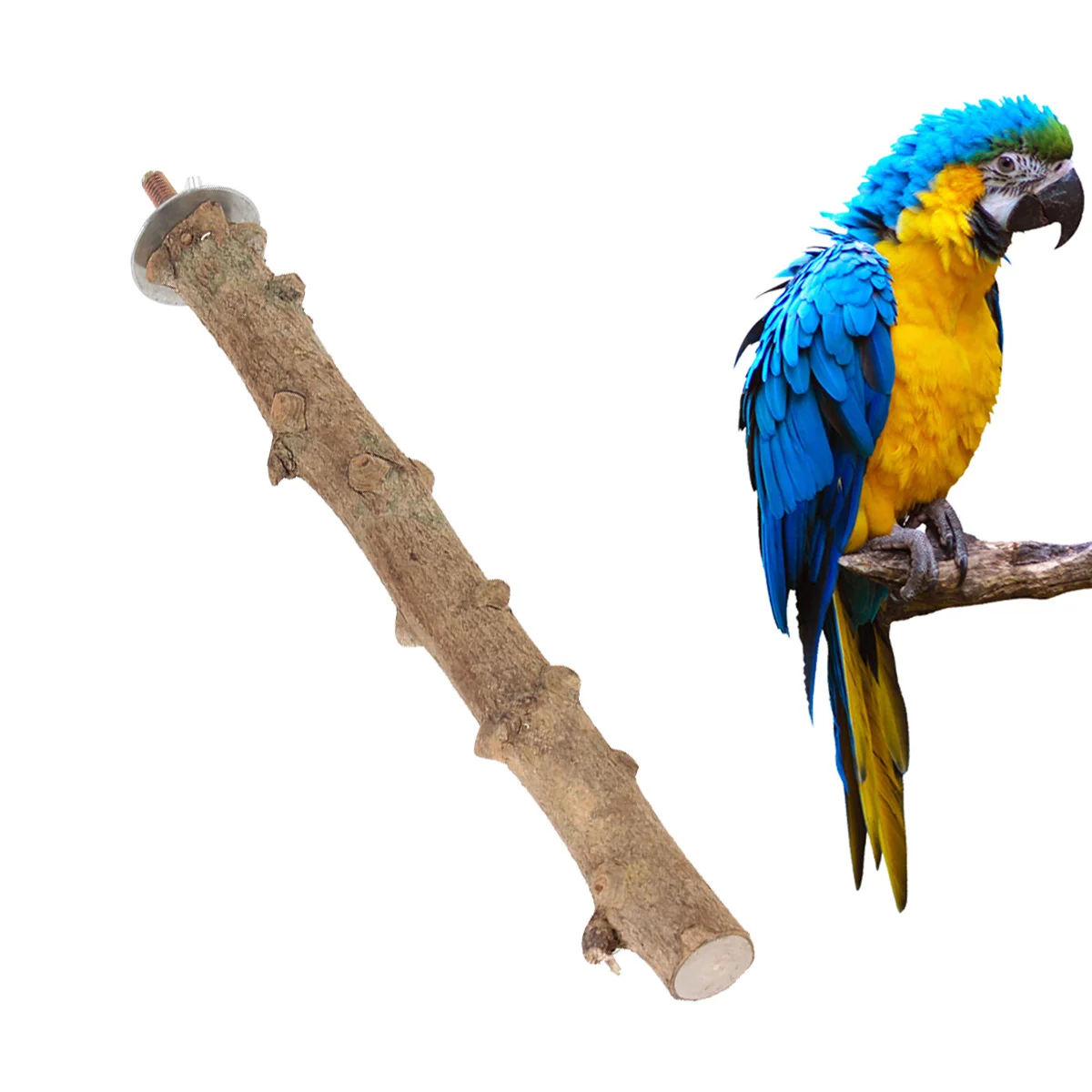 3pcs Pepper Wood Parrot Stand Bird Perch Play Rest Stand For Cockatiels Parakeets Lovebirds Conures Small Birds Bird
3pcs Pepper Wood Parrot Stand Bird Perch Play Rest Stand For Cockatiels Parakeets Lovebirds Conures Small Birds Bird