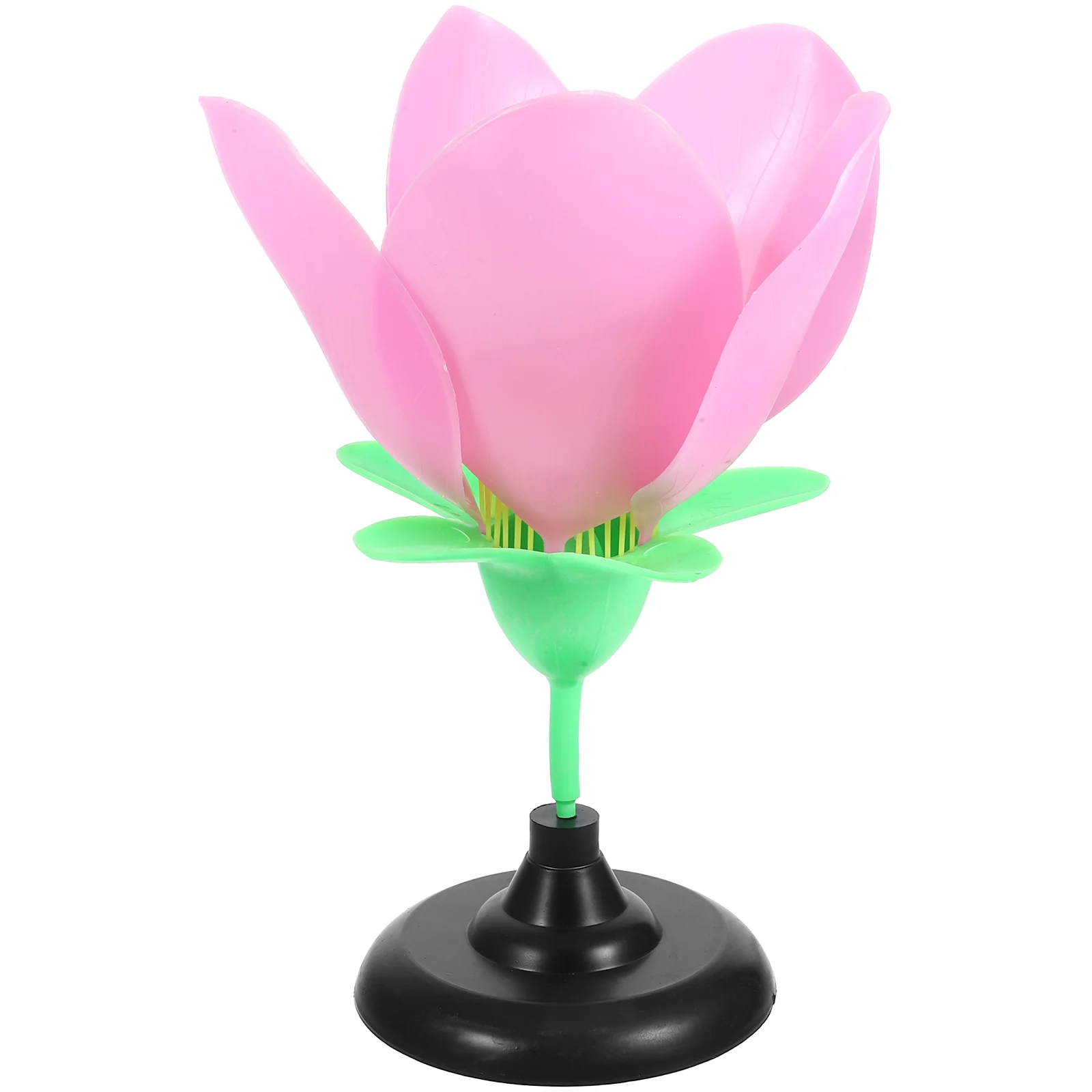Peach Blossom Model Practical Plant Flower Structure Biology Teaching Instrument Anatomy Pvc Anatomical Educational
Peach Blossom Model Practical Plant Flower Structure Biology Teaching Instrument Anatomy Pvc Anatomical Educational