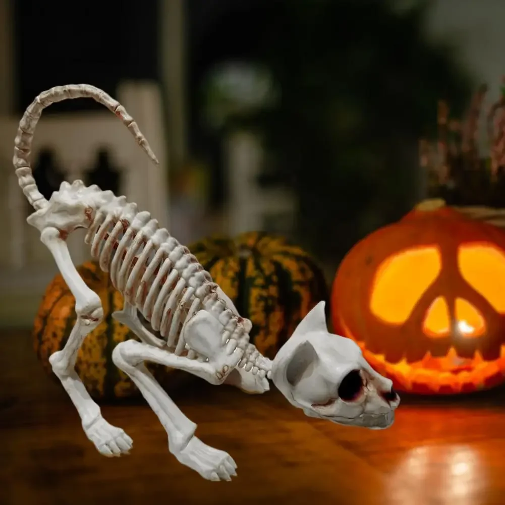 Creative Skeleton Cat Statue Realistic Looking Enhance Atmosphere Eco-friendly Creepy Animal Bones Yard Home Garden Decoration
Creative Skeleton Cat Statue Realistic Looking Enhance Atmosphere Eco-friendly Creepy Animal Bones Yard Home Garden Decoration