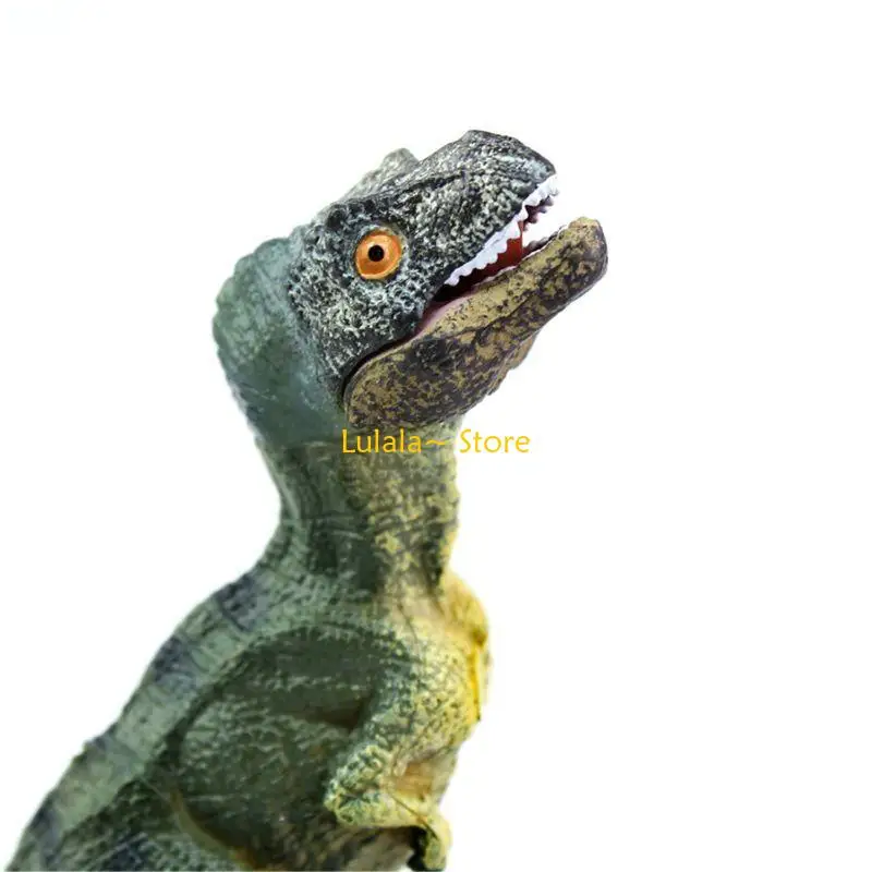 Y4QA Portable Tyrannosaurus Dinosaur Model Bright Color Resin Made Table Games
Y4QA Portable Tyrannosaurus Dinosaur Model Bright Color Resin Made Table Games