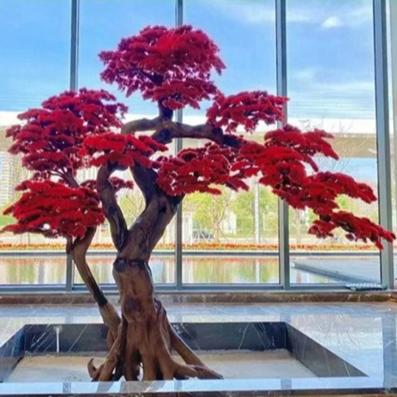 Simulation of red pine tree high simulation large pine tree indoor shopping mall ornaments simulation plant Christmas decoration
Simulation of red pine tree high simulation large pine tree indoor shopping mall ornaments simulation plant Christmas decoration