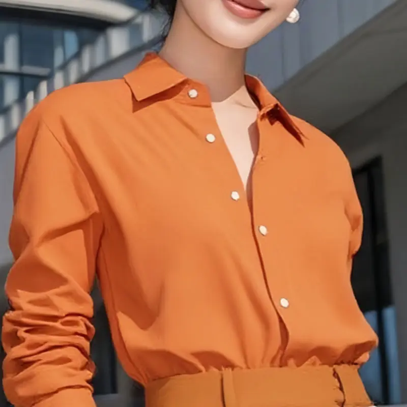 French light-mature polo collar orange long-sleeved shirt for women's design niche spring and autumn unique thin top
French light-mature polo collar orange long-sleeved shirt for women's design niche spring and autumn unique thin top