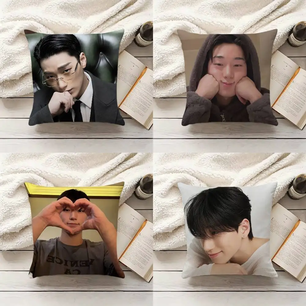 C-Choi S-San Pillow Cover Sofa Cushion Cover Home Room Decoration Children Gift
C-Choi S-San Pillow Cover Sofa Cushion Cover Home Room Decoration Children Gift