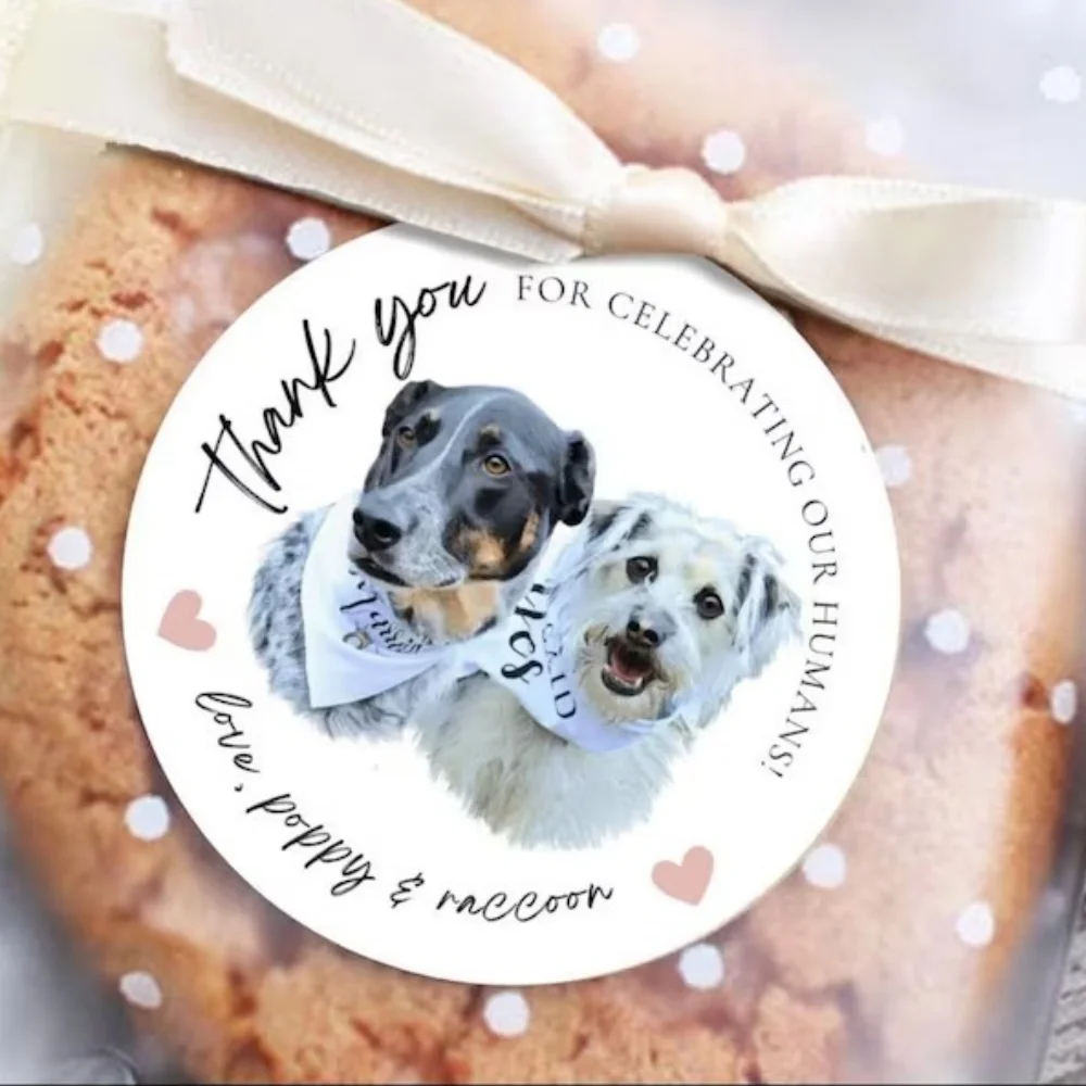 Personalized Picture Dog Wedding Stickers, Thank You for Celebrating my Humans, Pet Wedding Treat Bags Labels, Custom Text
Personalized Picture Dog Wedding Stickers, Thank You for Celebrating my Humans, Pet Wedding Treat Bags Labels, Custom Text