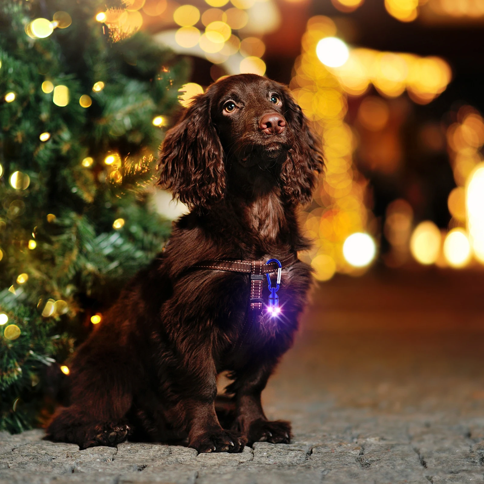 4pcs Led Pet Collar Tag Flashing Safety Blinker Dog Cat Puppy Light Red Blue Purple Pink Waterproof Carabiner Included Pet
4pcs Led Pet Collar Tag Flashing Safety Blinker Dog Cat Puppy Light Red Blue Purple Pink Waterproof Carabiner Included Pet