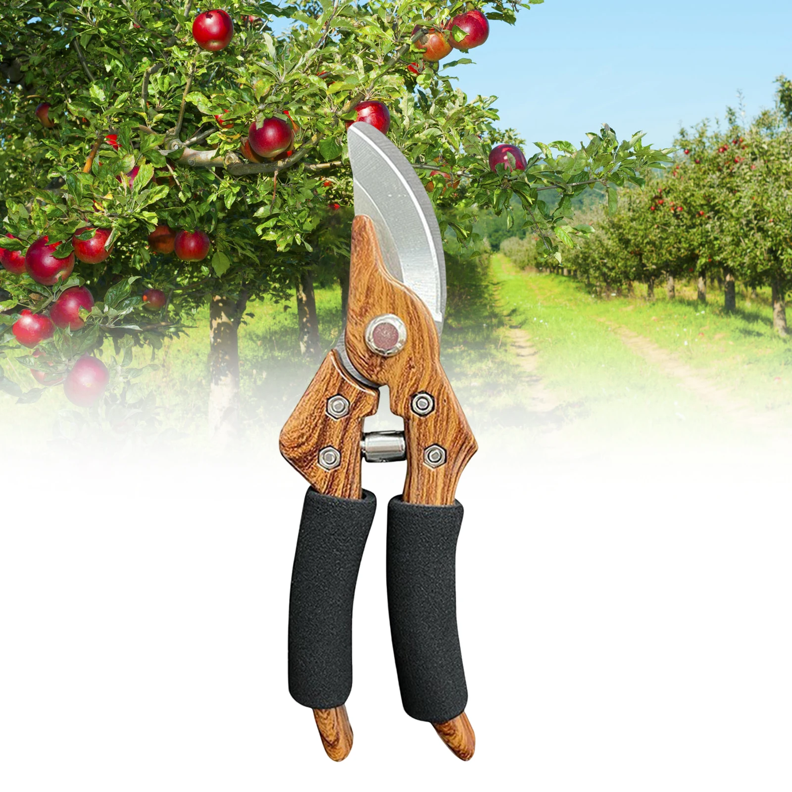 Professional Sharp Bypass Pruning Shears Sharp Blade Easily Trim Branches Scissors for Tree Pruning Shears Saw Garden Supplies
Professional Sharp Bypass Pruning Shears Sharp Blade Easily Trim Branches Scissors for Tree Pruning Shears Saw Garden Supplies