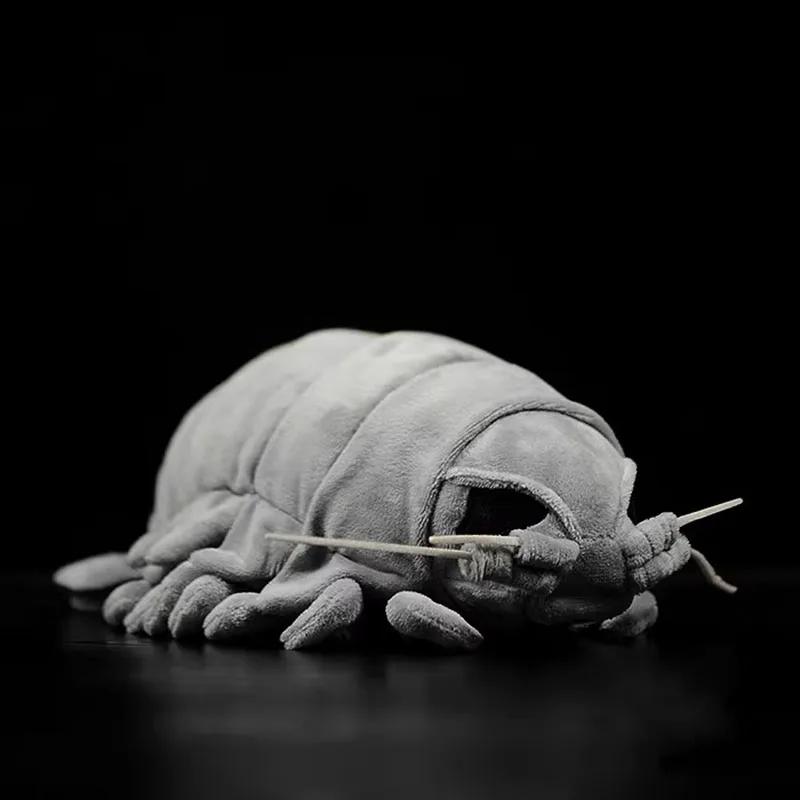 Gray Louse Giant Isopod Insect Pendant Nature Wild Magical Sea Ocean Plush Toy Stuffed Doll Animal Bag Key Chain Boy Girl Gift
Gray Louse Giant Isopod Insect Pendant Nature Wild Magical Sea Ocean Plush Toy Stuffed Doll Animal Bag Key Chain Boy Girl Gift