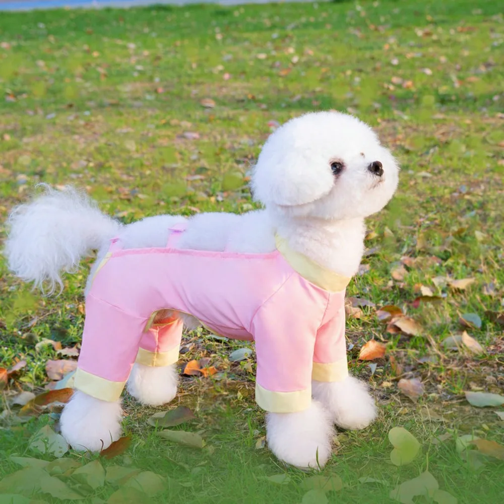 Pet Apparel Insect Proof Dog Four Legged Pants Cool Breathable Dog Dust Pants Fashionable Pet Jumpsuit Autumn 
Pet Apparel Insect Proof Dog Four Legged Pants Cool Breathable Dog Dust Pants Fashionable Pet Jumpsuit Autumn