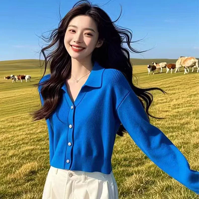 Women Clothing Fashion Vintage Loose Sweaters Simple Solid Short Style Knitted Cardigan Autumn Comfortable Soft Wool Tops
Women Clothing Fashion Vintage Loose Sweaters Simple Solid Short Style Knitted Cardigan Autumn Comfortable Soft Wool Tops