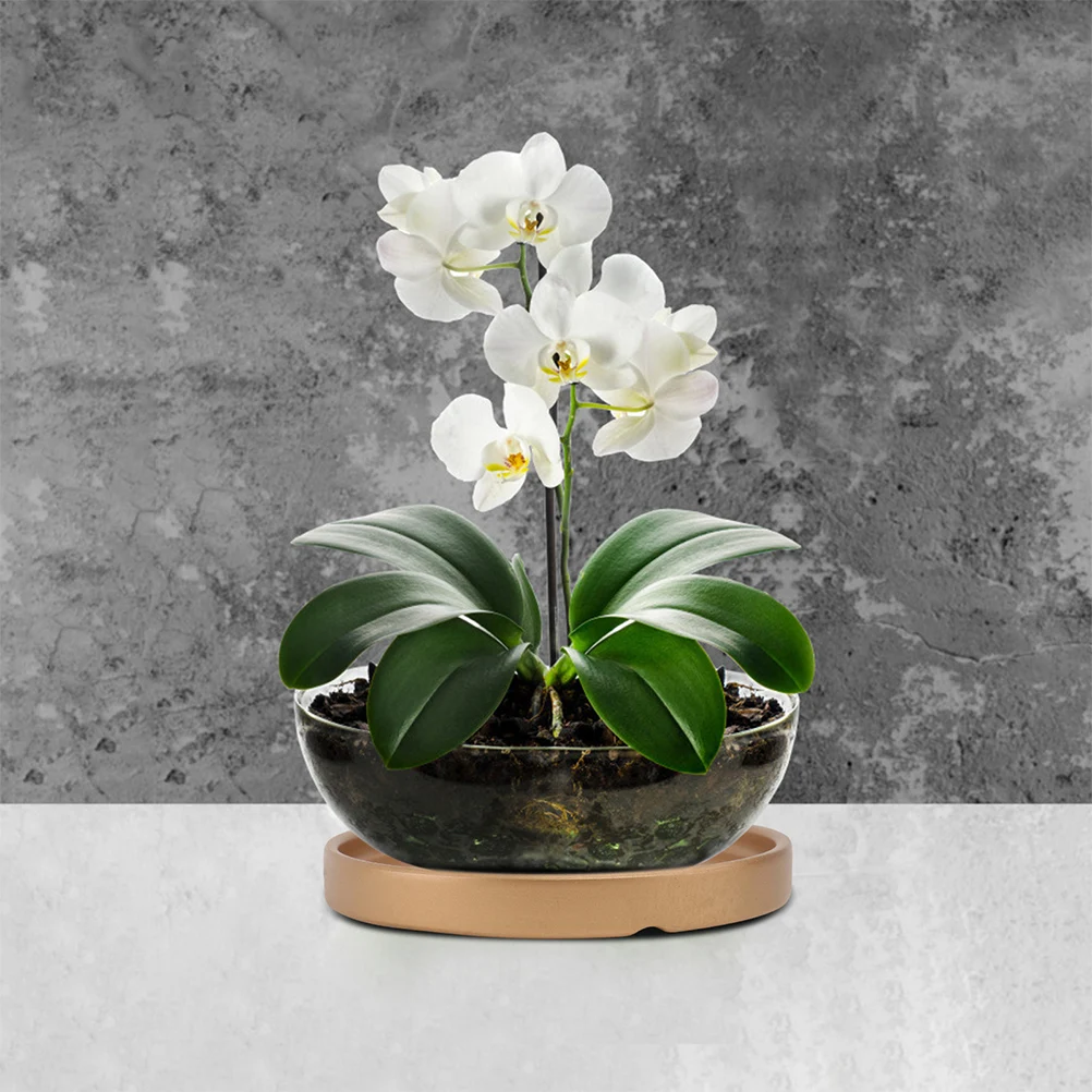 2Pcs Cement Flowerpot Trays Waterproof Base Plates for Indoor Outdoor Plants Tidy Floors Easy Wash Flowerpot Tray
2Pcs Cement Flowerpot Trays Waterproof Base Plates for Indoor Outdoor Plants Tidy Floors Easy Wash Flowerpot Tray