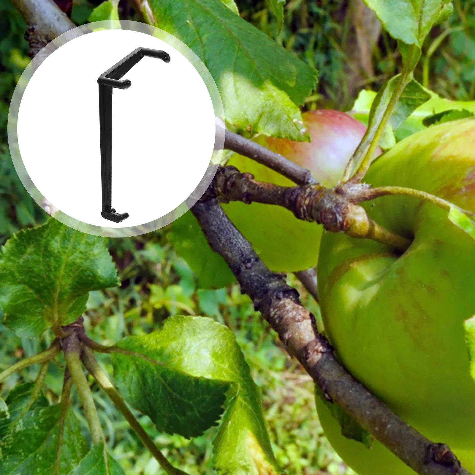 50pcs Branch Picker Fruit Tree Limb Spreaders Plastic Durable Smooth Surface Training Tools Gardening Accessories
50pcs Branch Picker Fruit Tree Limb Spreaders Plastic Durable Smooth Surface Training Tools Gardening Accessories