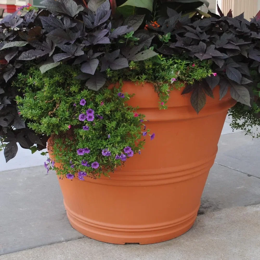 30" Classic Rolled Rim Garden Planter – Elegant & Durable Design for Indoor/Outdoor Plant Display
30" Classic Rolled Rim Garden Planter – Elegant & Durable Design for Indoor/Outdoor Plant Display