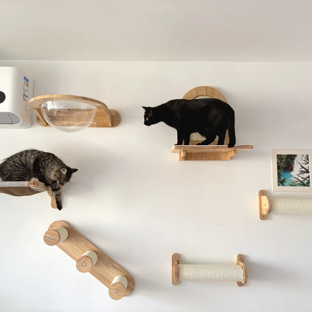 Wall Mounted Cat Climbing Shelves Cat Tree with Scratching Post Hammock Sisal Ladder and Steps Indoor Pet Furniture Cat Supplies
Wall Mounted Cat Climbing Shelves Cat Tree with Scratching Post Hammock Sisal Ladder and Steps Indoor Pet Furniture Cat Supplies