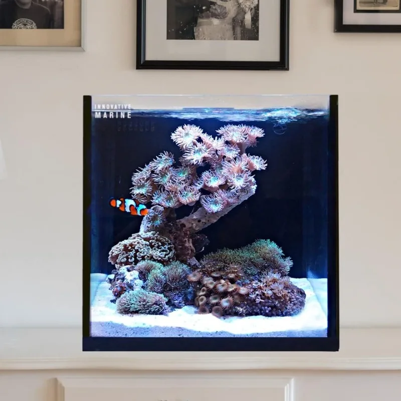 15 Gallon Cube Aquarium Starter Kit Complete All-in-One Fish Tank Set with Filter
15 Gallon Cube Aquarium Starter Kit Complete All-in-One Fish Tank Set with Filter