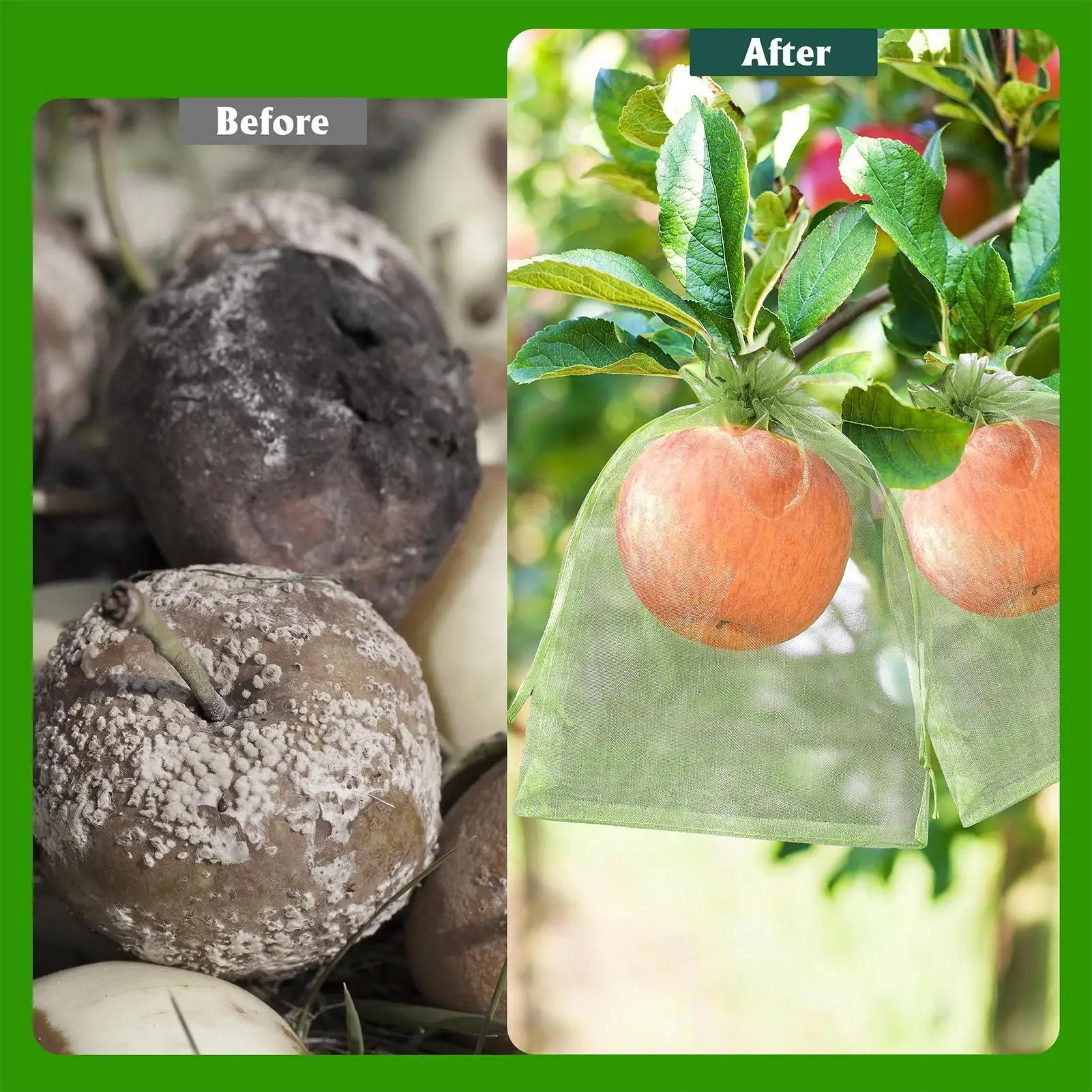Mesh Bags For Vegetables Reusable 200 Pieces Mesh Bags Garden Supplies For Food Outdoors Growing Planting Gathering Horticulture
Mesh Bags For Vegetables Reusable 200 Pieces Mesh Bags Garden Supplies For Food Outdoors Growing Planting Gathering Horticulture