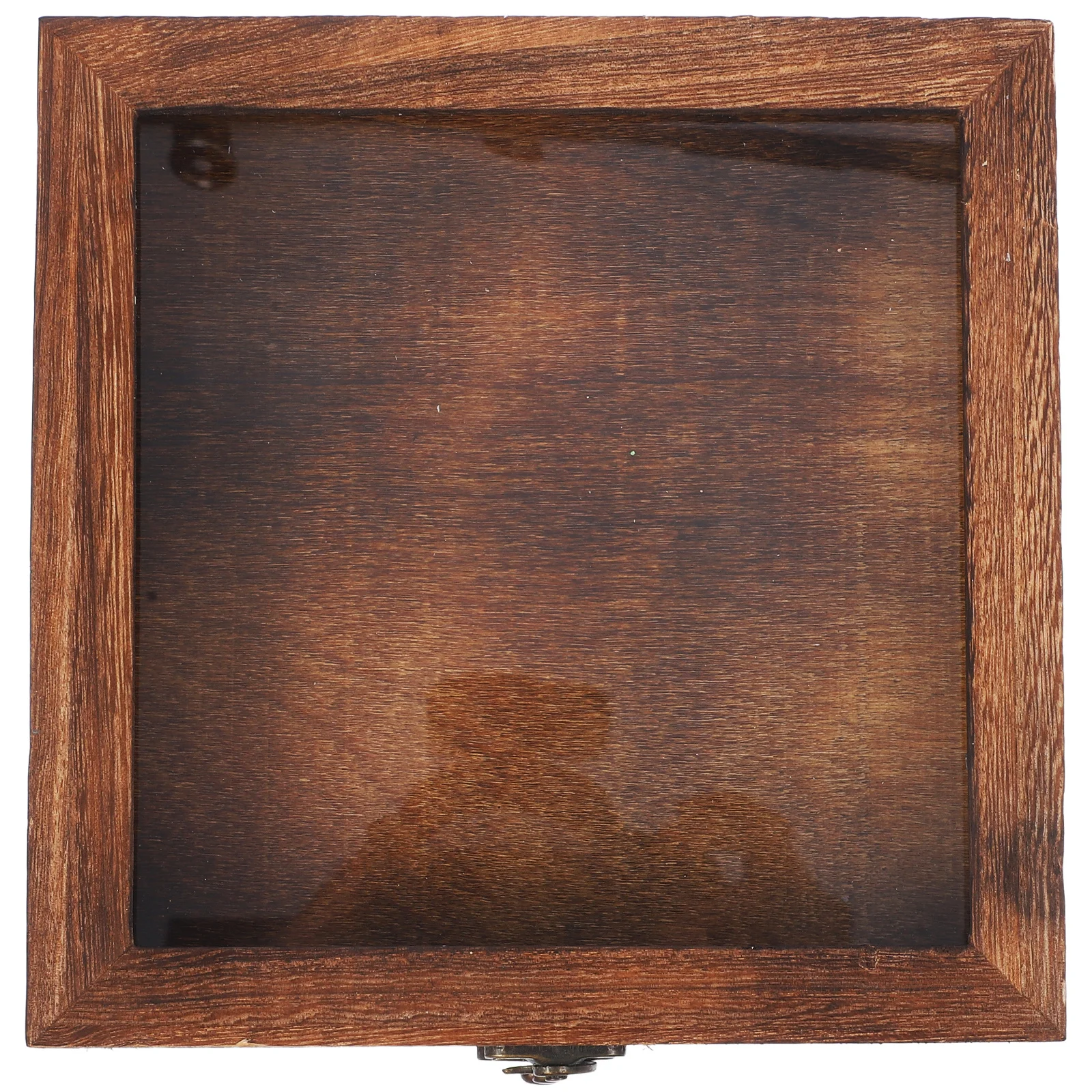 Insect Specimen Box Retro Transparent Window Lid Large Capacity Portable Display Case For Butterflies Dried Flowers
Insect Specimen Box Retro Transparent Window Lid Large Capacity Portable Display Case For Butterflies Dried Flowers