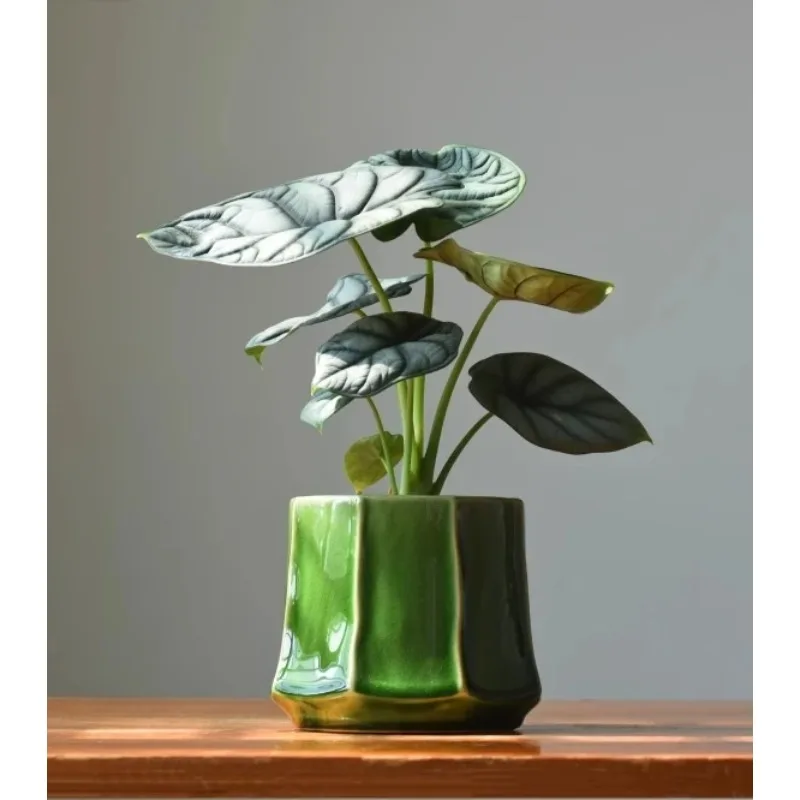 Foreign trade flower pot export last order, Nordic style ceramic flower ware, modern simple green plant potted plant clearance
Foreign trade flower pot export last order, Nordic style ceramic flower ware, modern simple green plant potted plant clearance