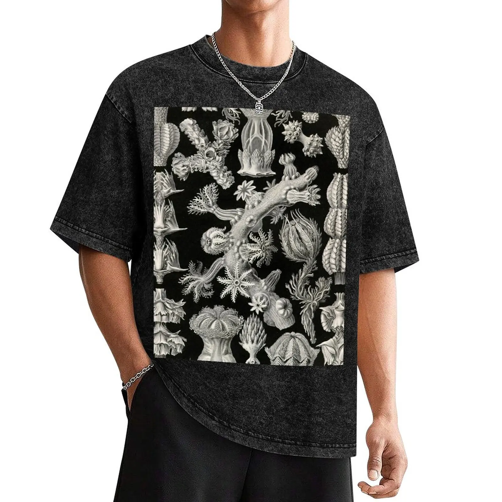 Gorgonida - Ernst Haeckel T-Shirt vintage graphic tee funny costumes topping oversized t shirt men
Gorgonida - Ernst Haeckel T-Shirt vintage graphic tee funny costumes topping oversized t shirt men