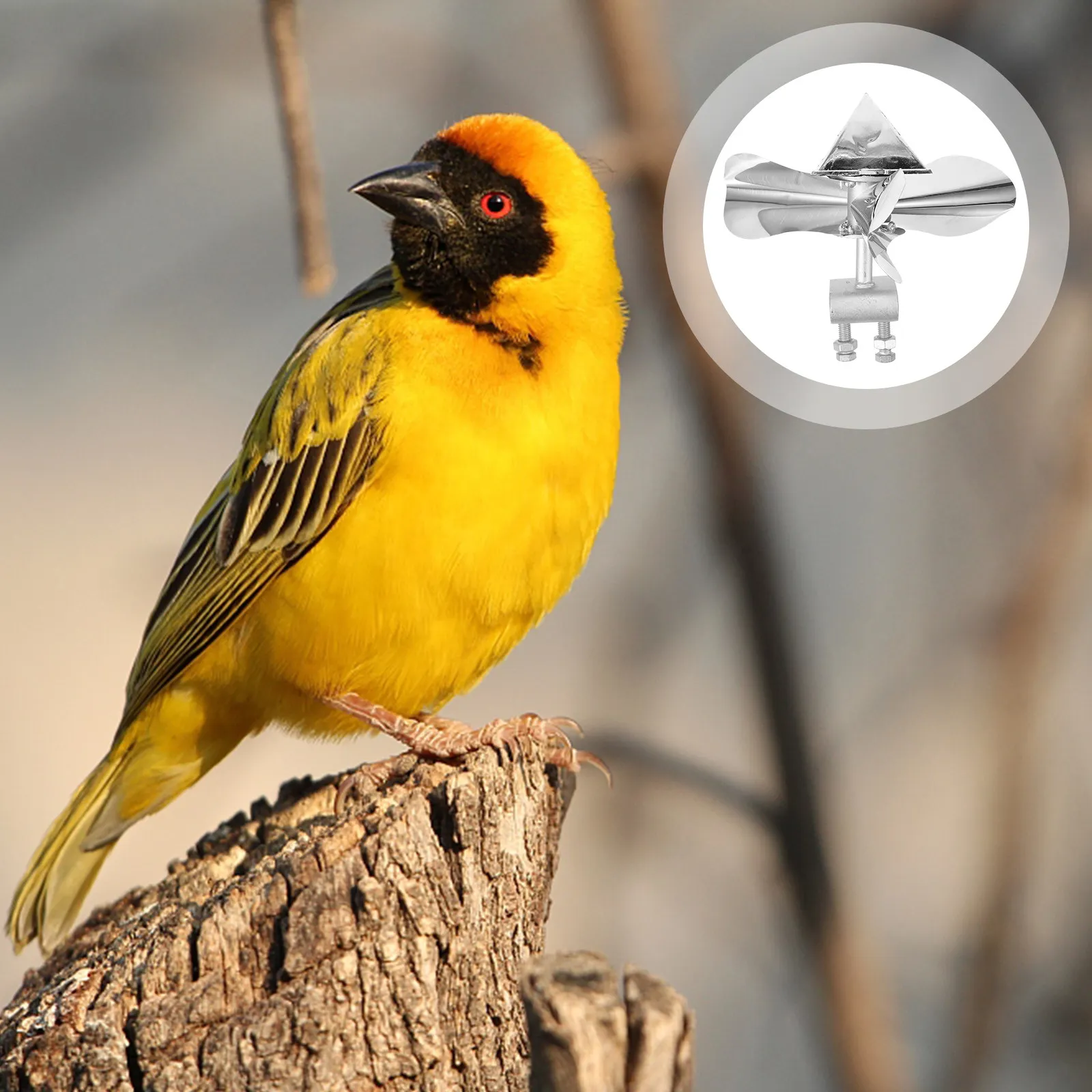 Outdoor Garden Bird Repeller Windmill Stainless Steel Reflective Metal Device Drives Away Birds Confuses with Motion and Light
Outdoor Garden Bird Repeller Windmill Stainless Steel Reflective Metal Device Drives Away Birds Confuses with Motion and Light