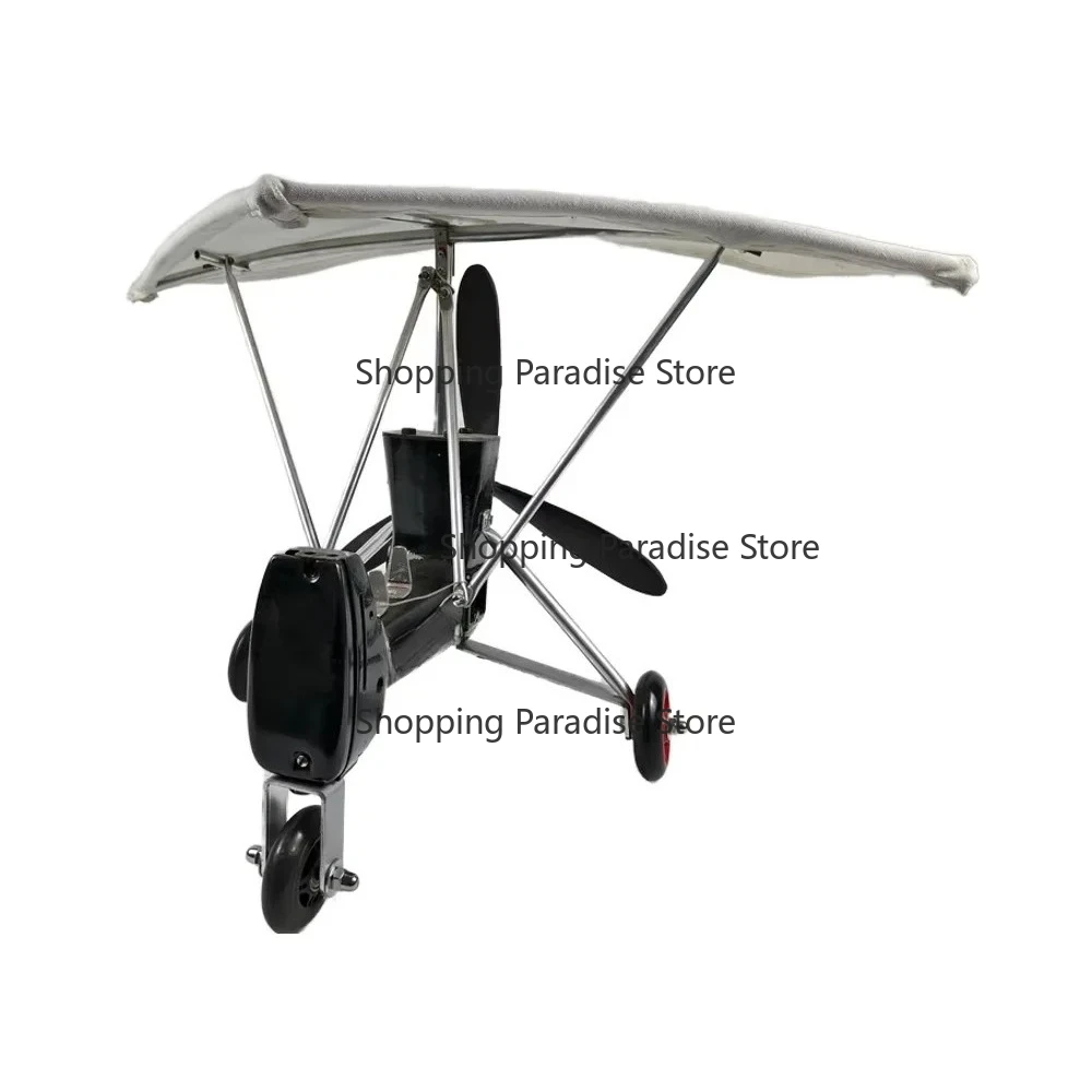 Antique Metal Glider Model Retro Desktop Decoration Handcrafted Welding Technology Model Plane Ornament
Antique Metal Glider Model Retro Desktop Decoration Handcrafted Welding Technology Model Plane Ornament