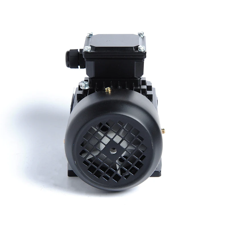 2.2kW To 2.8kW Three-Phase Variable Speed AC Induction Motor Asynchronous Electric Motor with Enclosed Protection 50HZ Frequency
2.2kW To 2.8kW Three-Phase Variable Speed AC Induction Motor Asynchronous Electric Motor with Enclosed Protection 50HZ Frequency