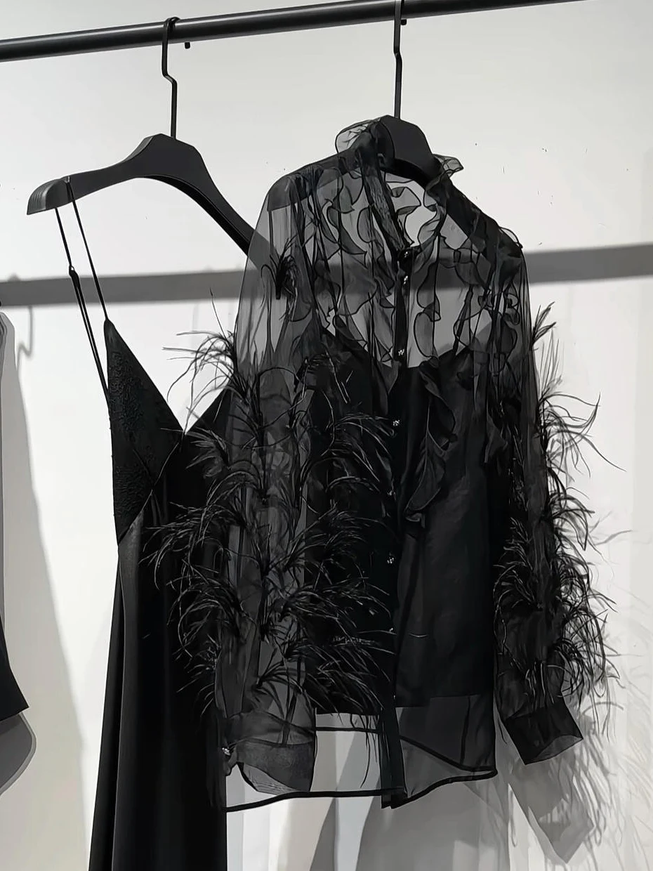 Elegant Feather Shirt Women's Luxury Style Fashionable Ageless Chic Upper Apparel Polyester Fiber Long Sleeve Button Closure
Elegant Feather Shirt Women's Luxury Style Fashionable Ageless Chic Upper Apparel Polyester Fiber Long Sleeve Button Closure