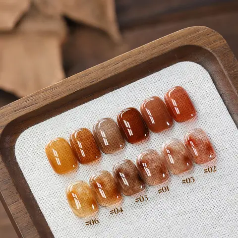 10ML Autumn Brown Amber Jelly Gel Nail Polish 2026 New Maillard Ice Clear Tortoise Shell Caramel Coffee Brown Nails 1-9pcs