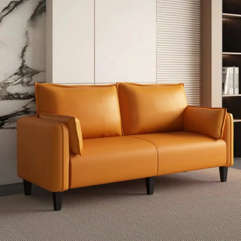 Cat claw leather sofa living room small apartment modern light luxury bedroom rental room double triple clothing store
Cat claw leather sofa living room small apartment modern light luxury bedroom rental room double triple clothing store