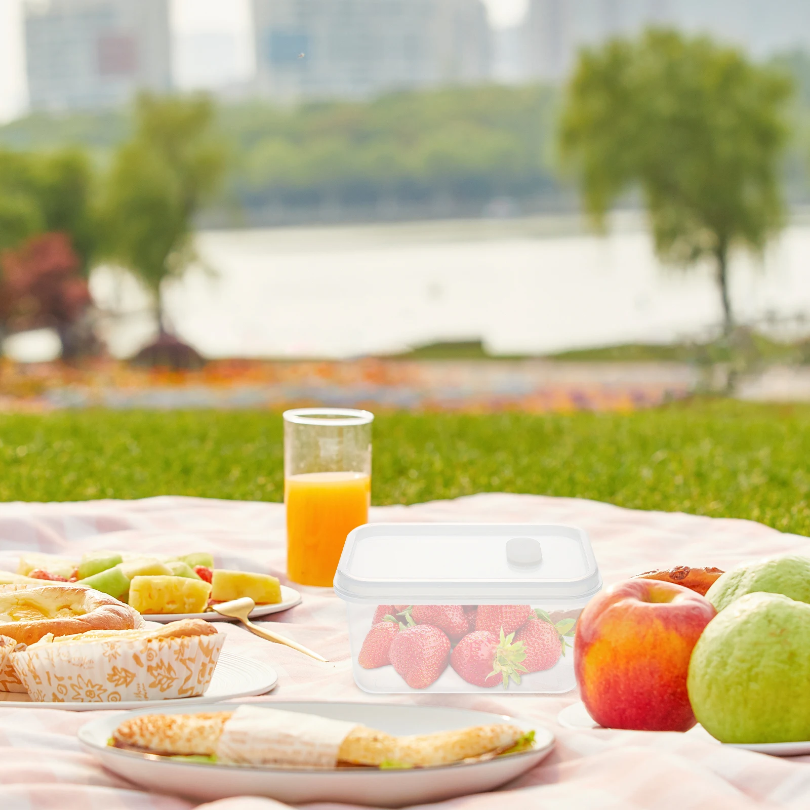 1pcs Food Storage Box Clear Plastic Containers For Snacks Sushi Bento Lunch Kids Travel Organizer Kitchen Storage Container
1pcs Food Storage Box Clear Plastic Containers For Snacks Sushi Bento Lunch Kids Travel Organizer Kitchen Storage Container