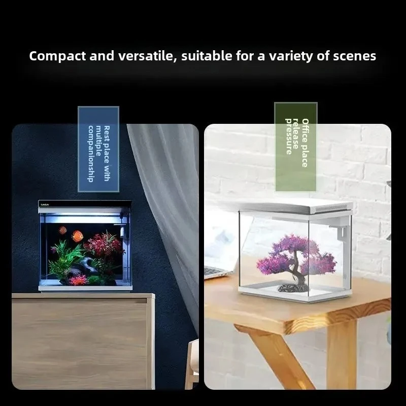 b7- ultra-white glass small fish tank can be oxygenated without water change, living room small desktop household aquarium
b7- ultra-white glass small fish tank can be oxygenated without water change, living room small desktop household aquarium