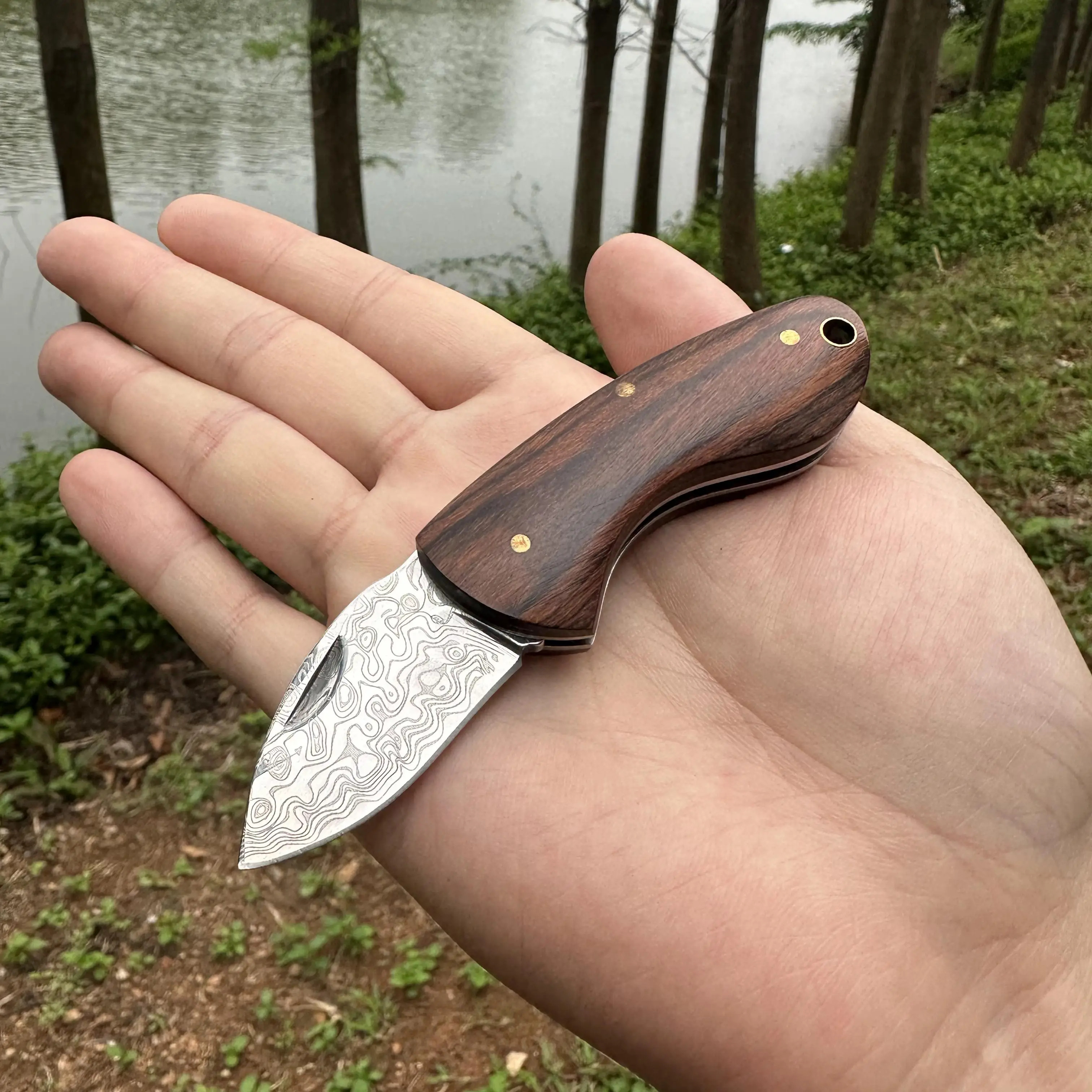 RoseSteel Mini EDC Knife Damsascus Coating Blade Confortable Rosewood Handle Portable Key Knife Hiking Camping Fishing Unpacking
RoseSteel Mini EDC Knife Damsascus Coating Blade Confortable Rosewood Handle Portable Key Knife Hiking Camping Fishing Unpacking