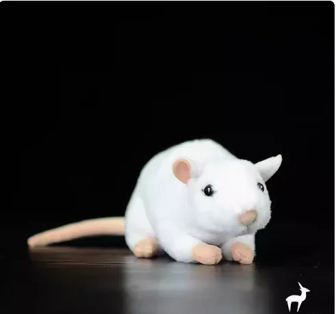 17CM Gray and white little mouse plush toy mouse doll simulation animal For Children Birthday Gift
17CM Gray and white little mouse plush toy mouse doll simulation animal For Children Birthday Gift