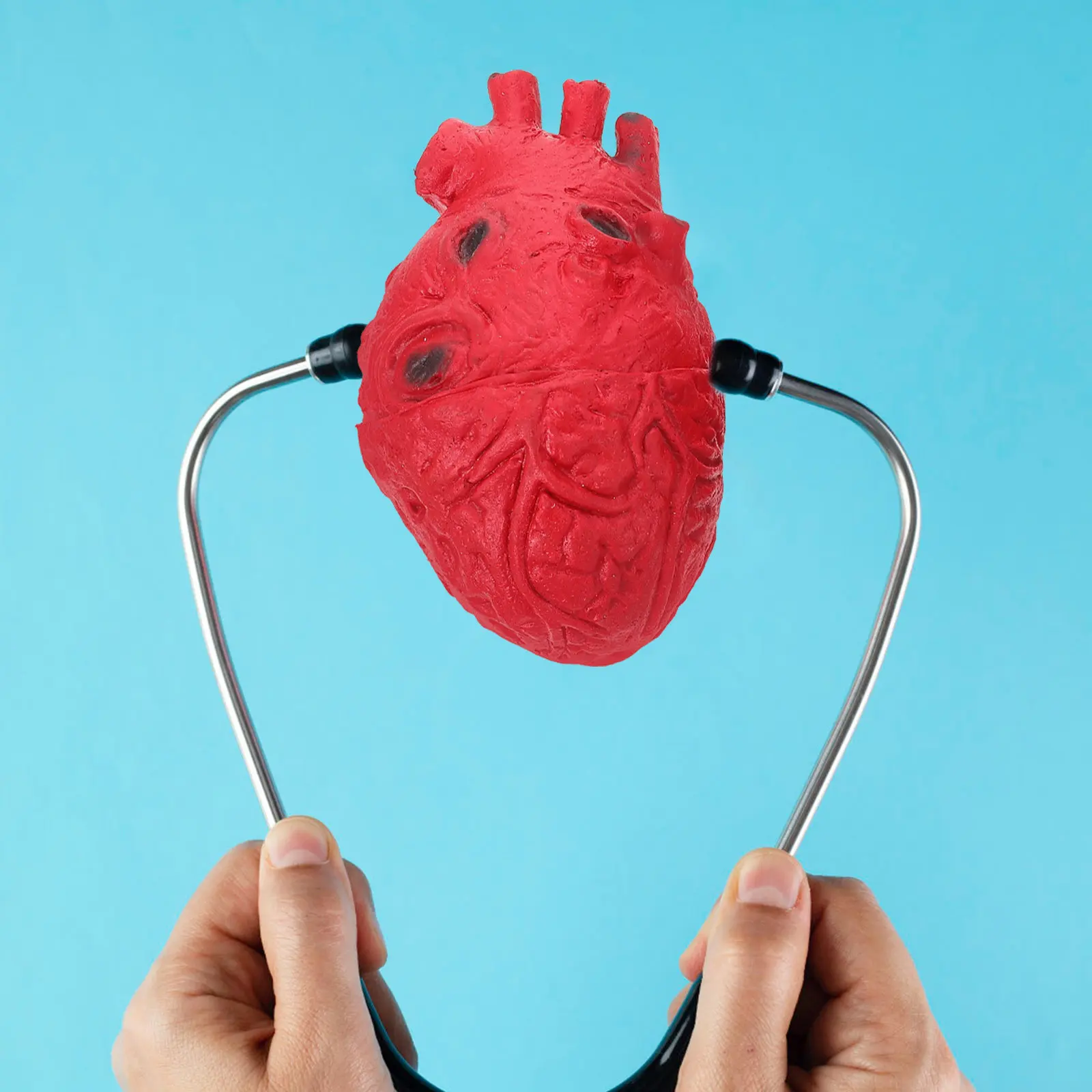 2Pcs Realistic Halloween Scary Prank Prop Fake Human Brain Heart Decor for Haunted House Stage Party Decoration Halloween
2Pcs Realistic Halloween Scary Prank Prop Fake Human Brain Heart Decor for Haunted House Stage Party Decoration Halloween