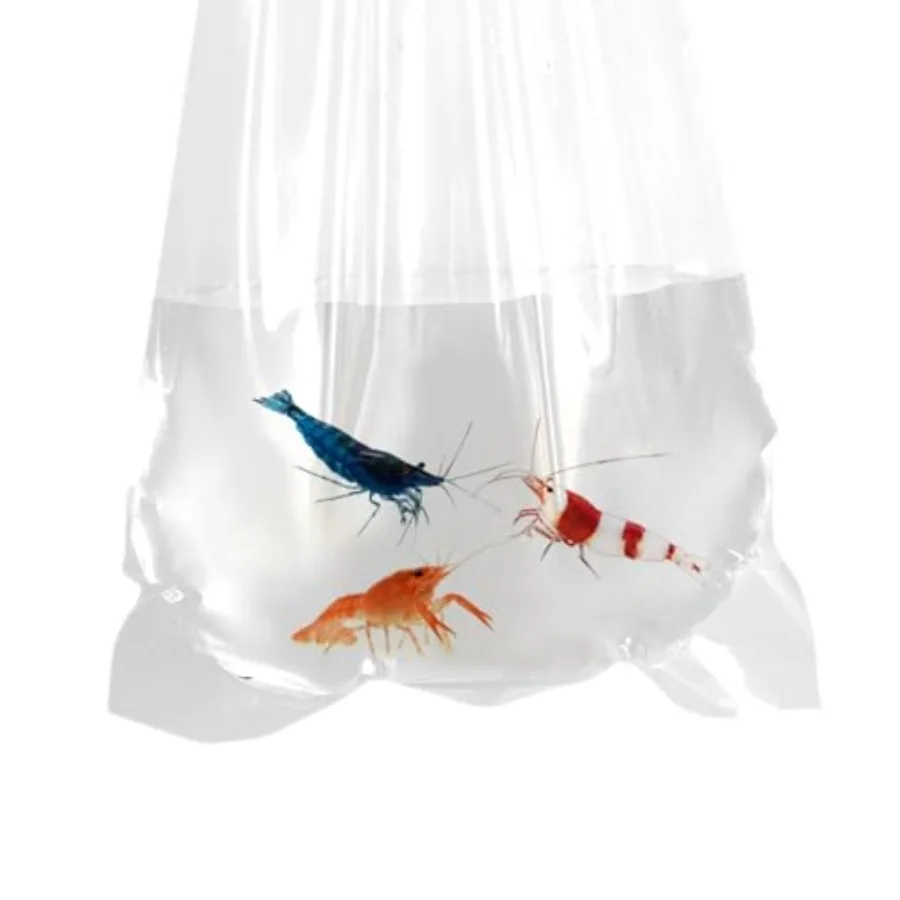 Fishery Bags Inch Leak Proof Rounded Bottom Clear Plastic Fish Bags for Shrimps and Betta Fish Transport. 0
Fishery Bags Inch Leak Proof Rounded Bottom Clear Plastic Fish Bags for Shrimps and Betta Fish Transport. 0