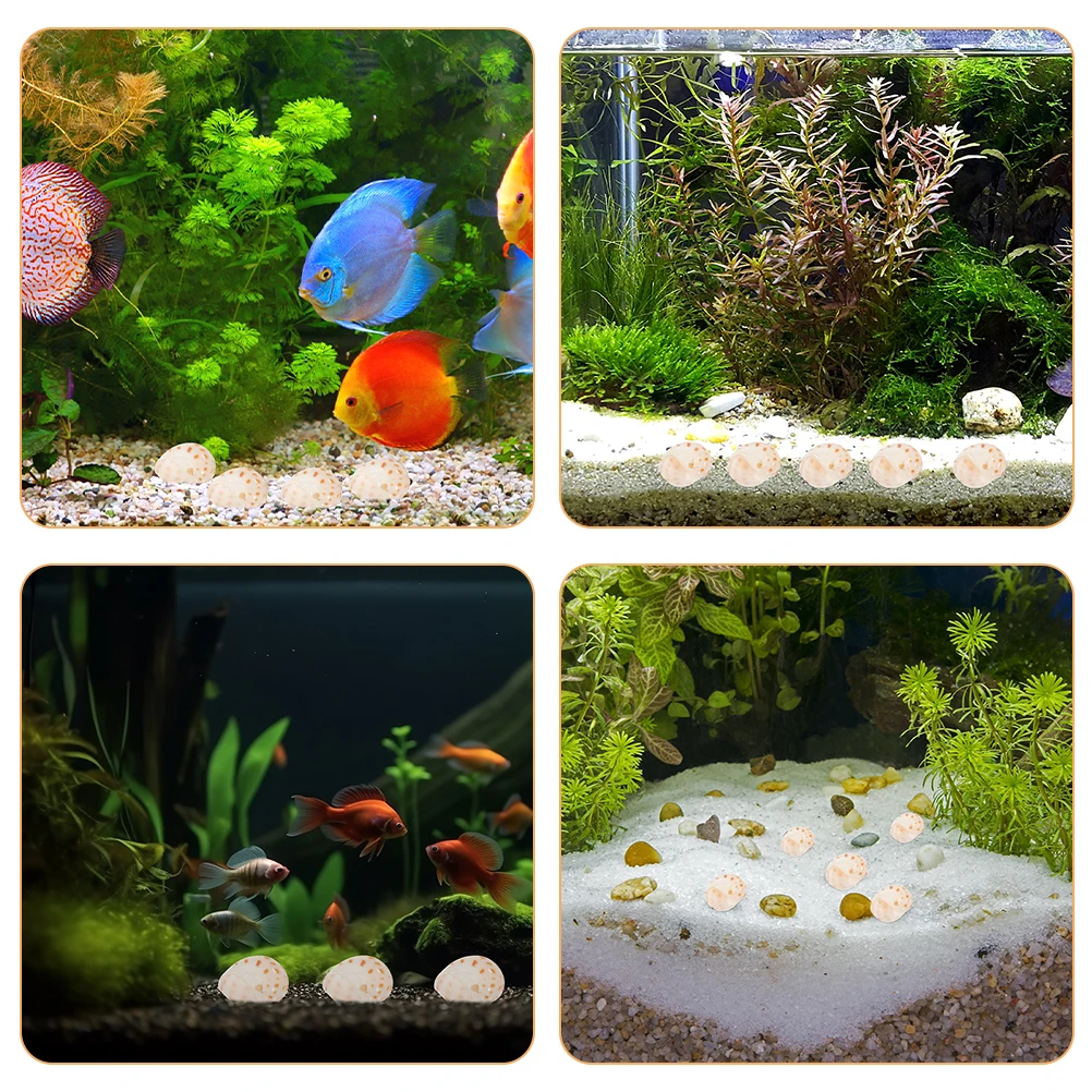 30pcs Diy Mini Conch Shell Hermit Crab Natural Fish Tank Decor Aquarium Landscape Craft Sea Theme Ornament Desktop
30pcs Diy Mini Conch Shell Hermit Crab Natural Fish Tank Decor Aquarium Landscape Craft Sea Theme Ornament Desktop