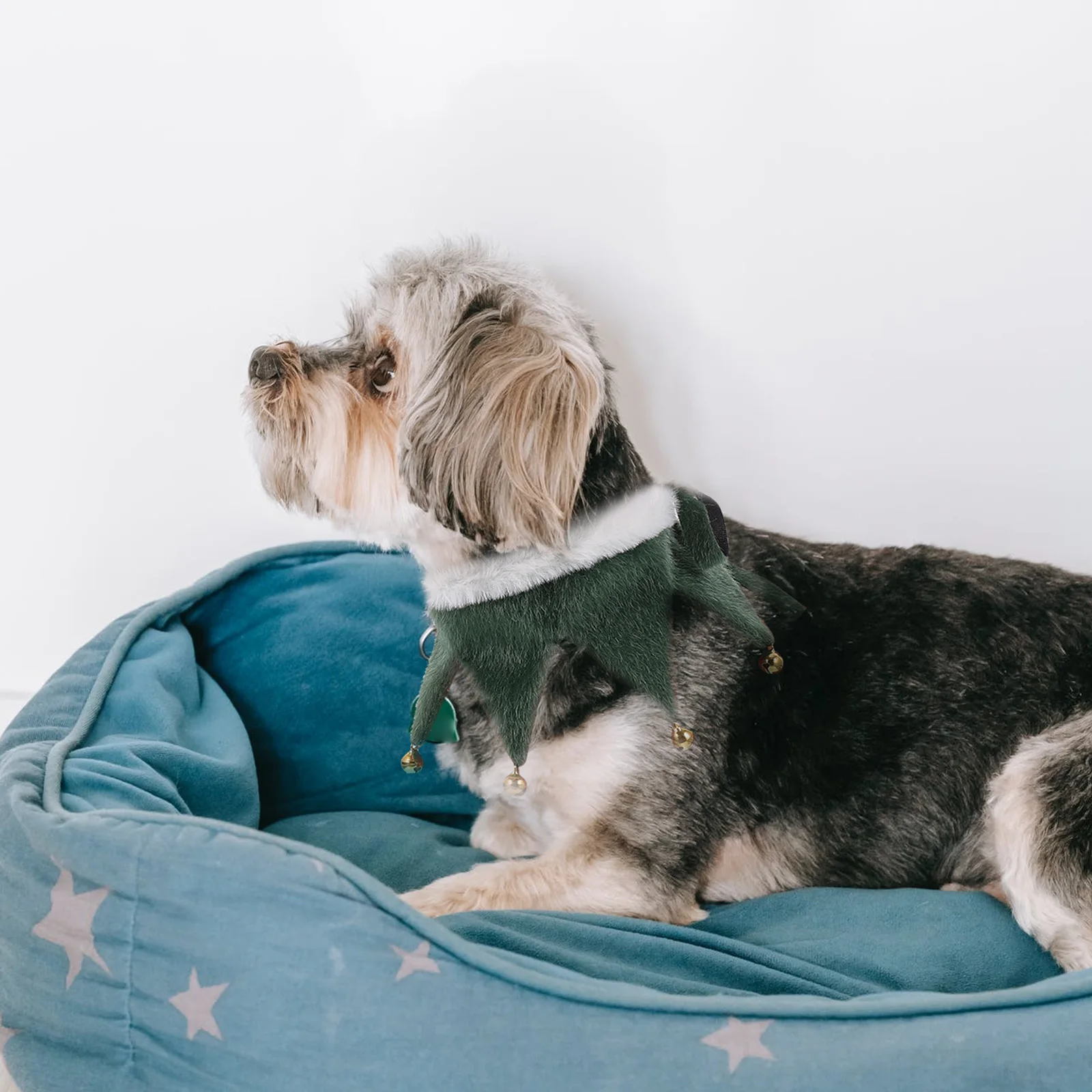 Festive Pet Christmas Scarf Adorable Dog Cat Neckwear Warm Xmas Party Costume Accessory Pet Christmas Scarf Dog Winter Scarves
Festive Pet Christmas Scarf Adorable Dog Cat Neckwear Warm Xmas Party Costume Accessory Pet Christmas Scarf Dog Winter Scarves